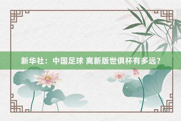 新華社：中國足球 離新版世俱杯有多遠？