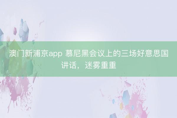 澳門新浦京app 慕尼黑會議上的三場好意思國講話，迷霧重重