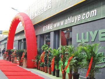 綠野綠色家園安徽旗艦店盛大開業(yè)，引領(lǐng)綠色建材新風(fēng)尚